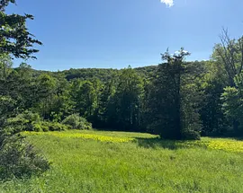 Rte 39 South, State Route