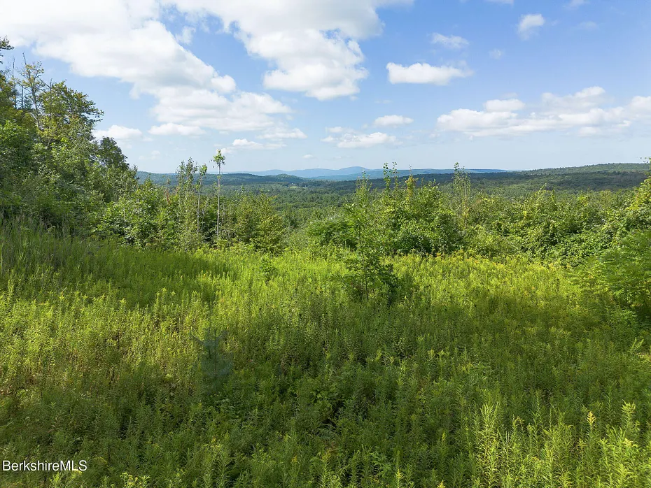 0 Mount Hunger Rd Photo 4