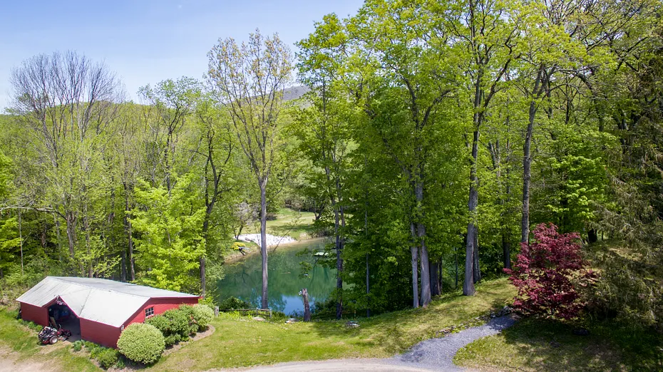 520 White Oaks Rd Photo 16
