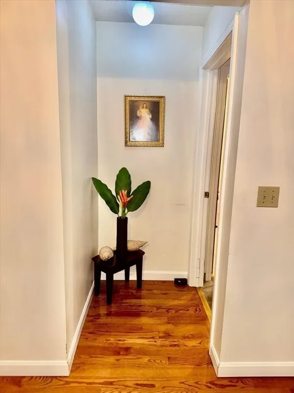 10 Wrentham Rd #307 Photo 8