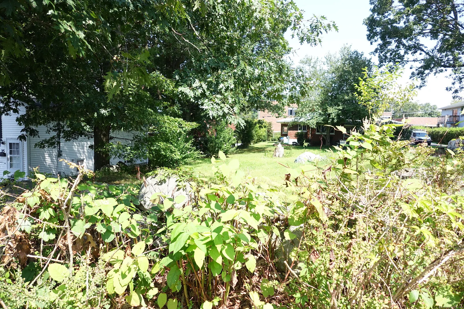 Miller Street Photo 7