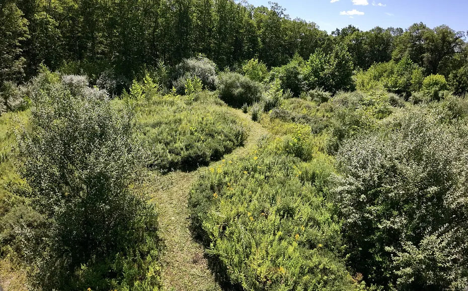 97 Nashville Road Photo 5