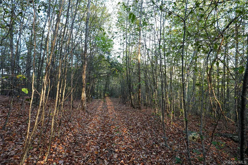 Tbd Ny-28 Route Photo 4