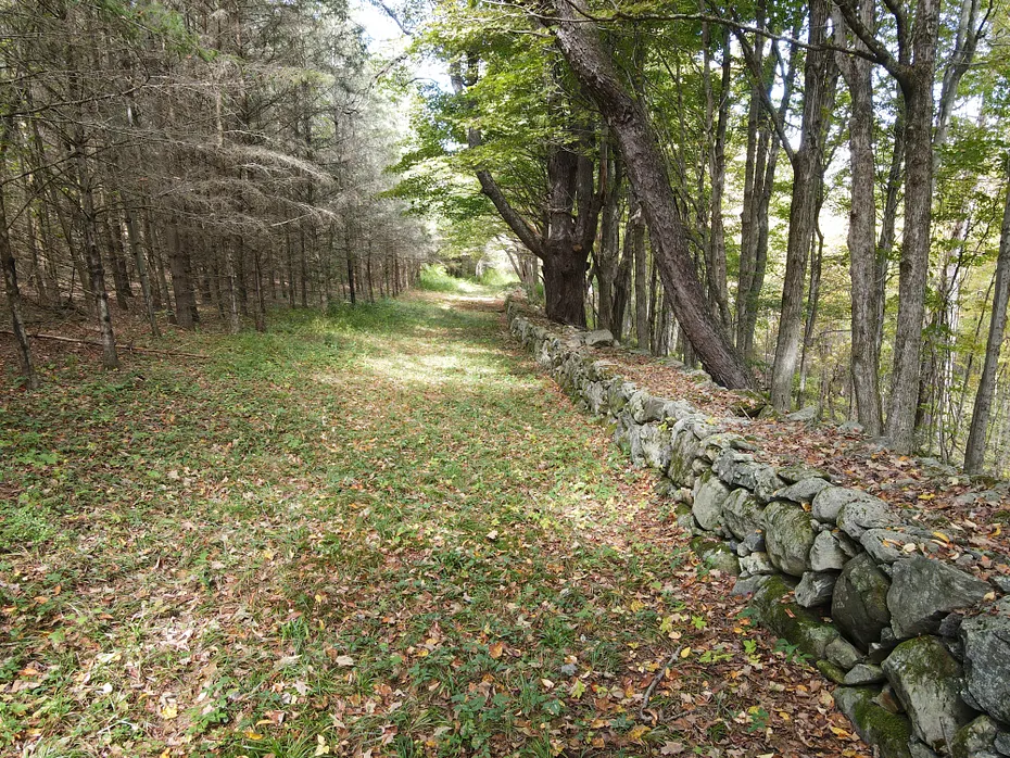 77 Deer Hill Road Photo 18