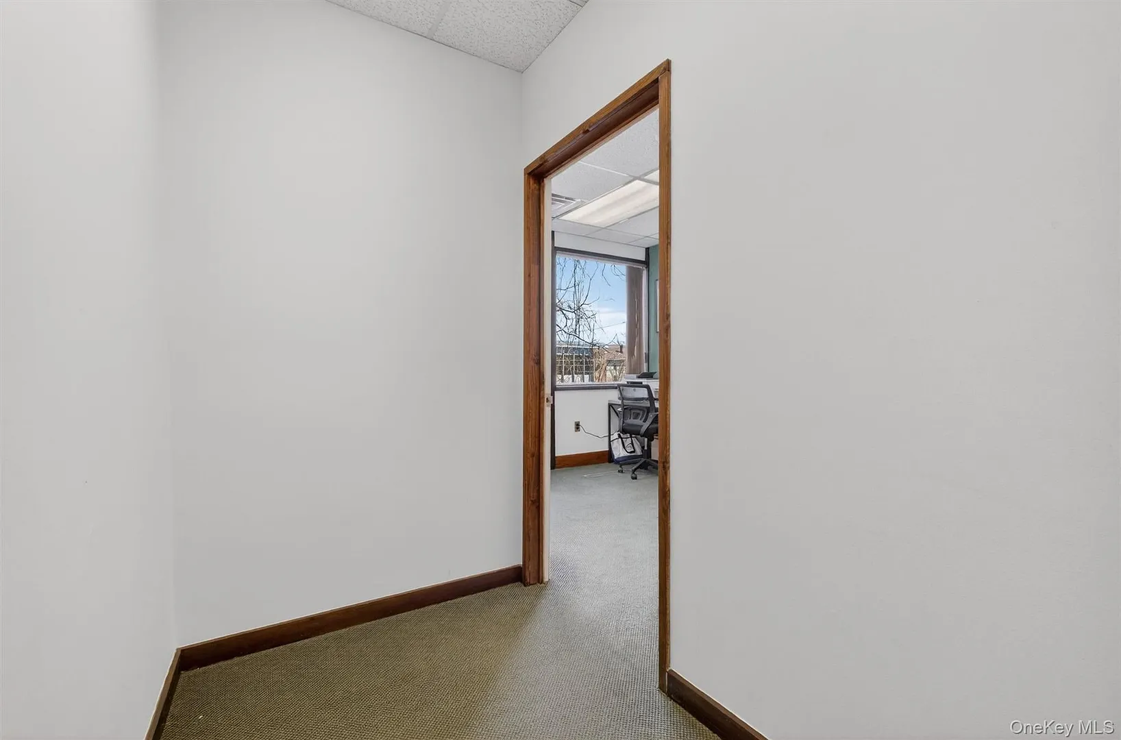 12 Raymond Avenue #1 Photo 12