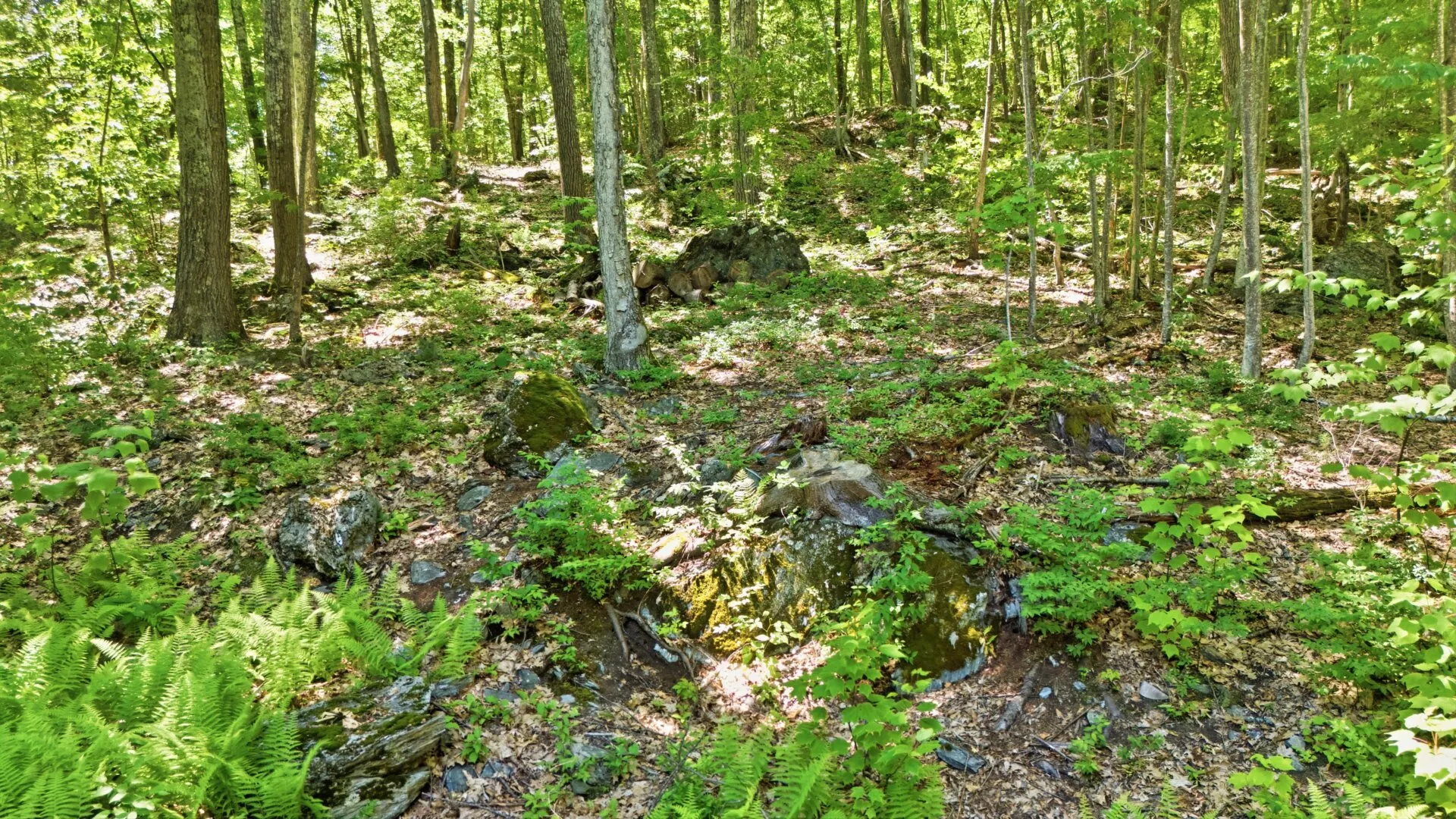 236 Hillsdale Rd Photo 34