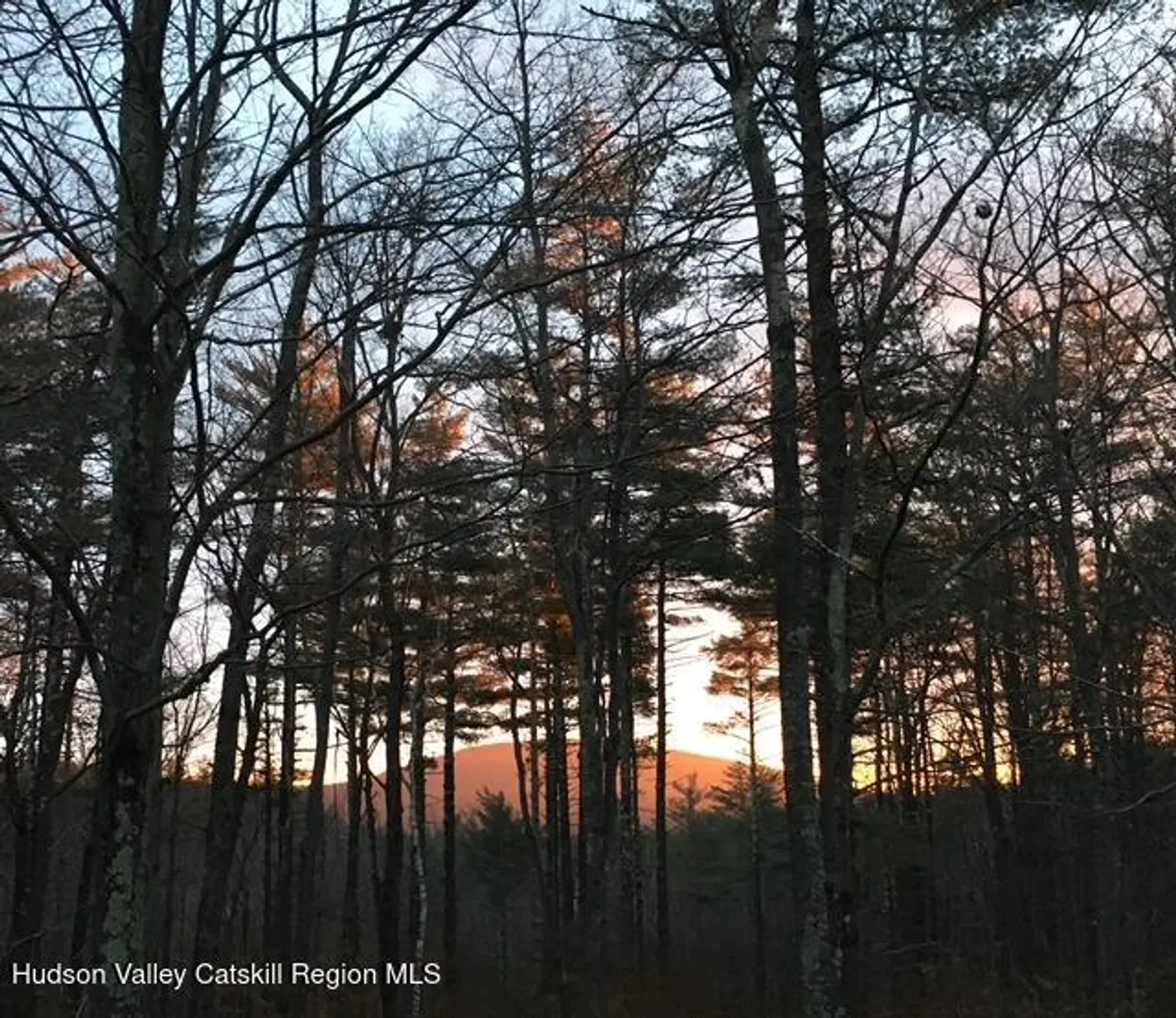 126 Storks Nest Road Photo 6