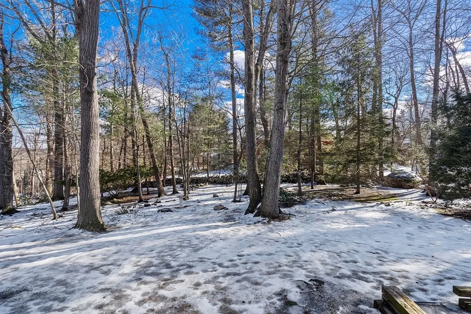 33 Brunnell Dr Photo 28