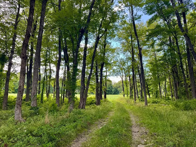 54 Patten Road Photo 39