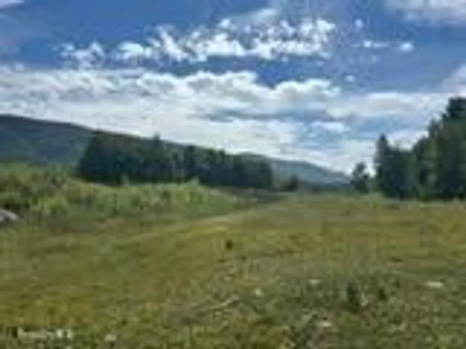 641 River Rd Photo 29