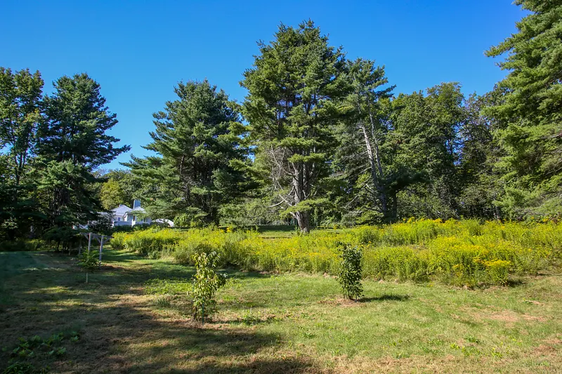 240 Beldingville Rd Photo 38