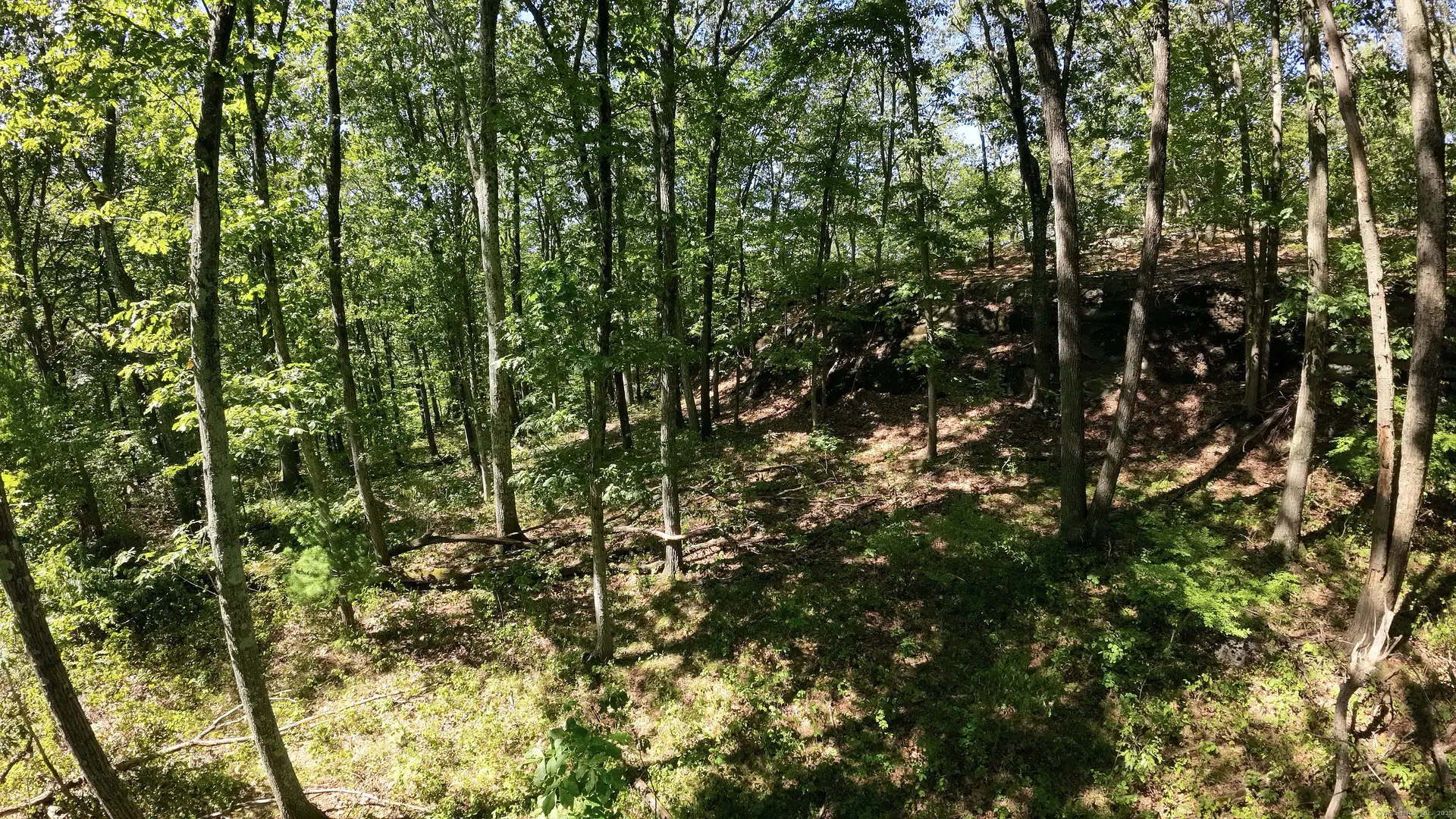97 Nashville Road Photo 7
