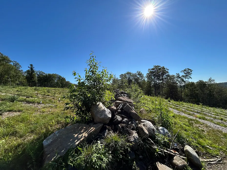 00 Prock Hill Road Photo 5
