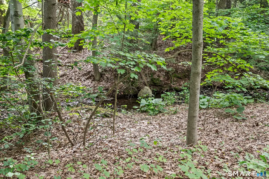 539 Hopewell Road Photo 33