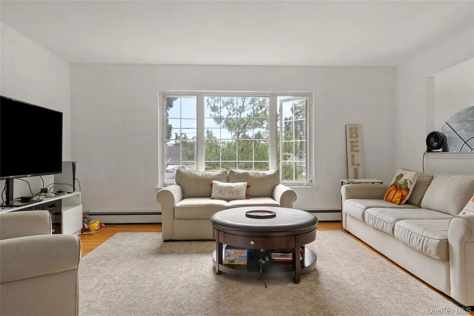1056 Arthur Street Photo 26