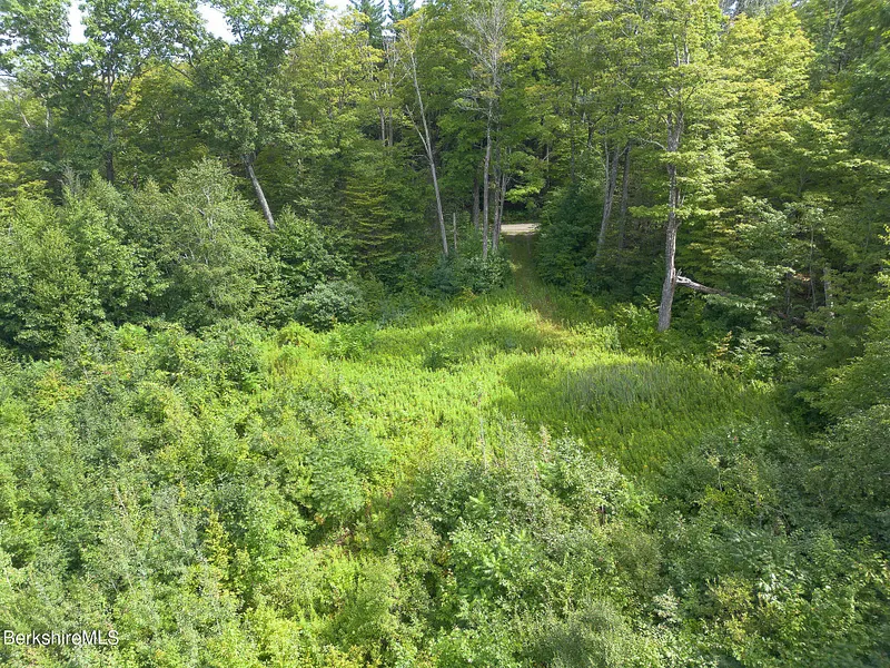 0 Mount Hunger Rd Photo 8