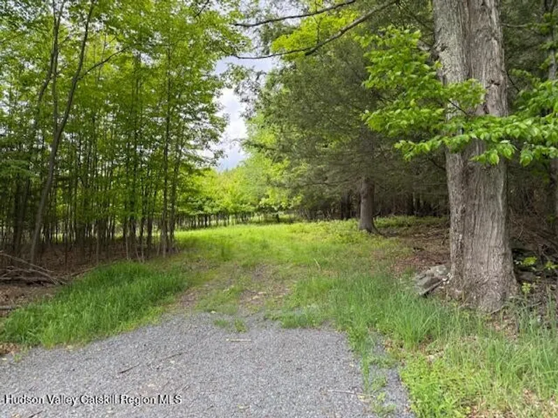 0 Van Etten Road Photo 7