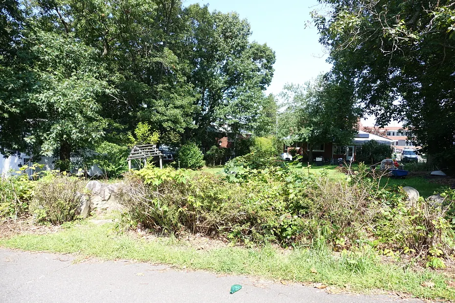 Miller Street Photo 6