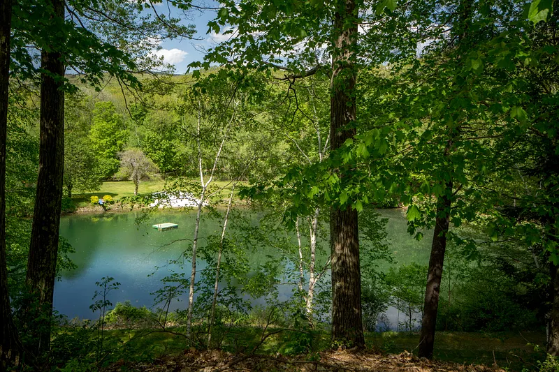 520 White Oaks Rd Photo 21