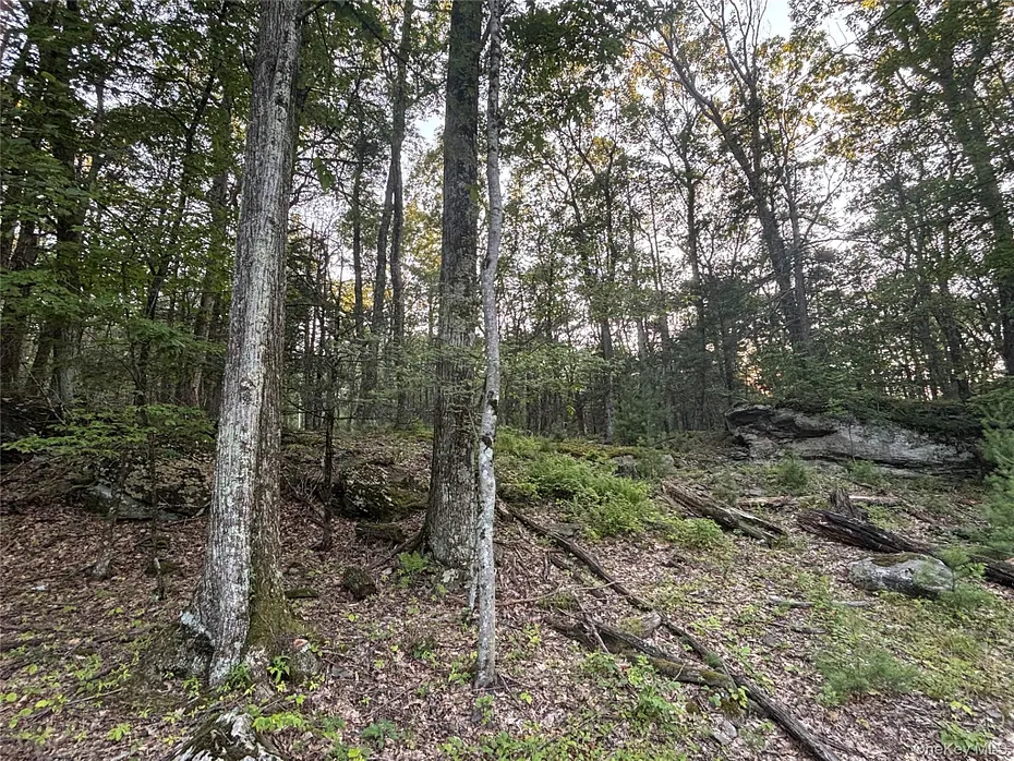 High Point Mountain Road Photo 9
