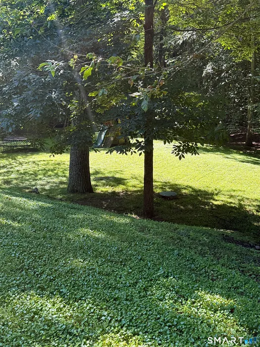 918 Rock Rimmon Road Photo 9