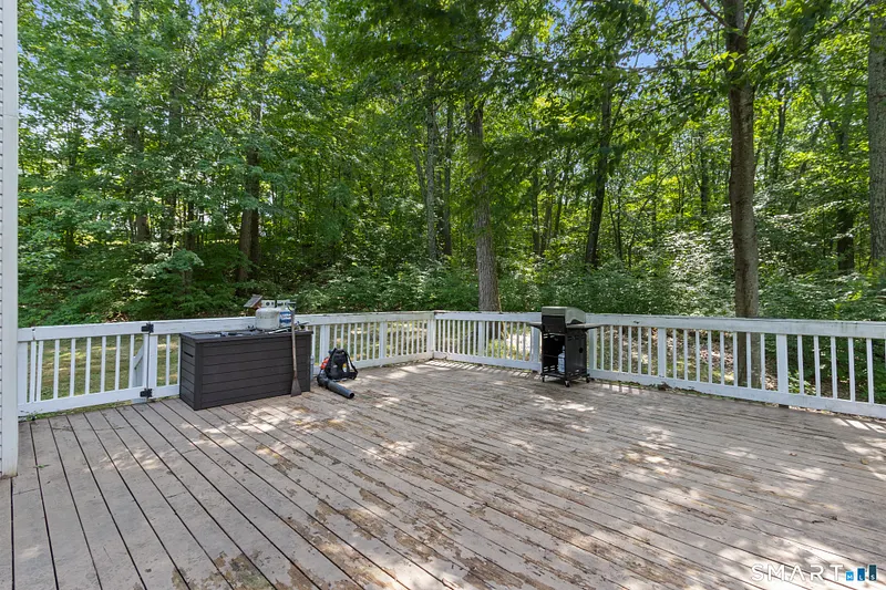 436 Tiffany Lane Photo 34