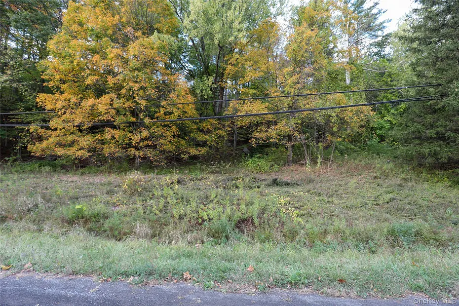 Tbd Ny-28 Route Photo 11