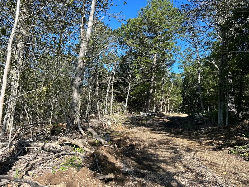 00 Prock Hill Road Photo 8