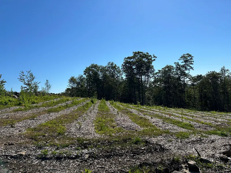 00 Prock Hill Road Photo 3