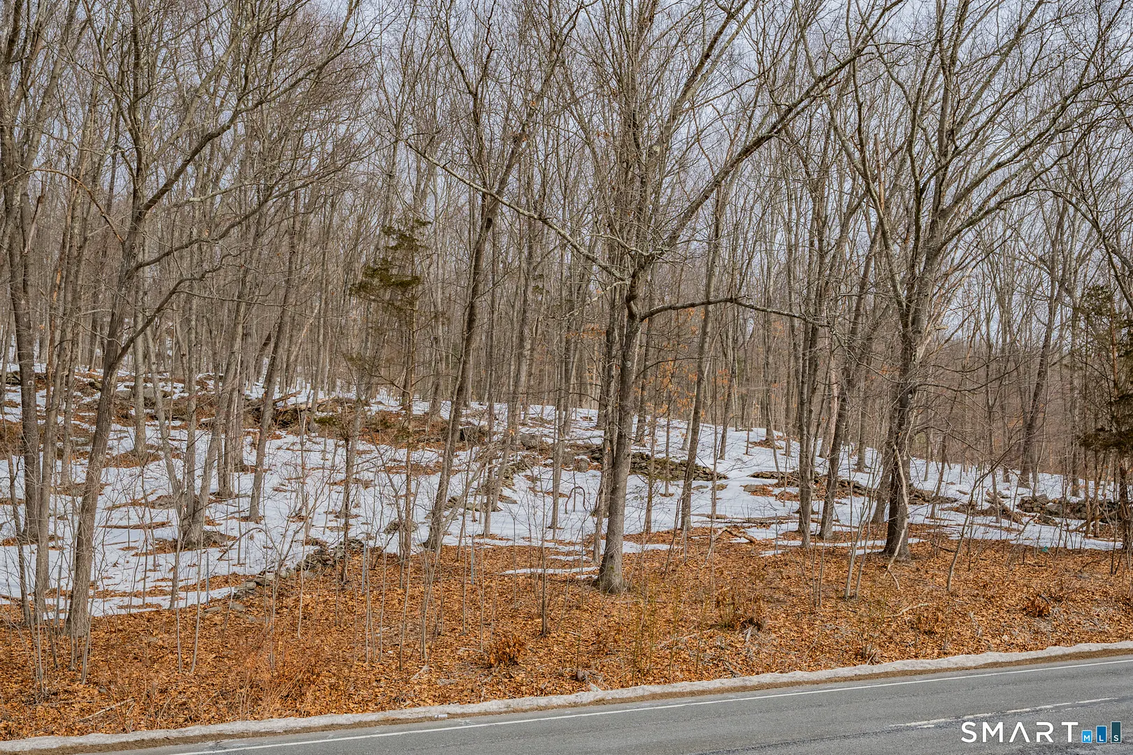 Frost Bridge Road Photo 26