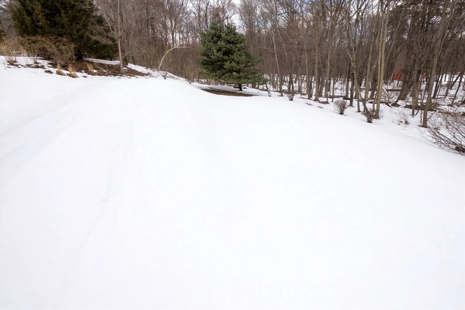 11 Barberry Ln Photo 34