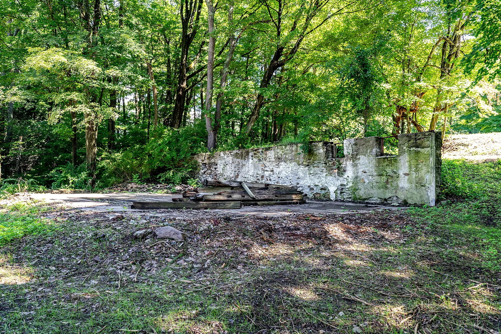 631 South Plains Road Photo 10