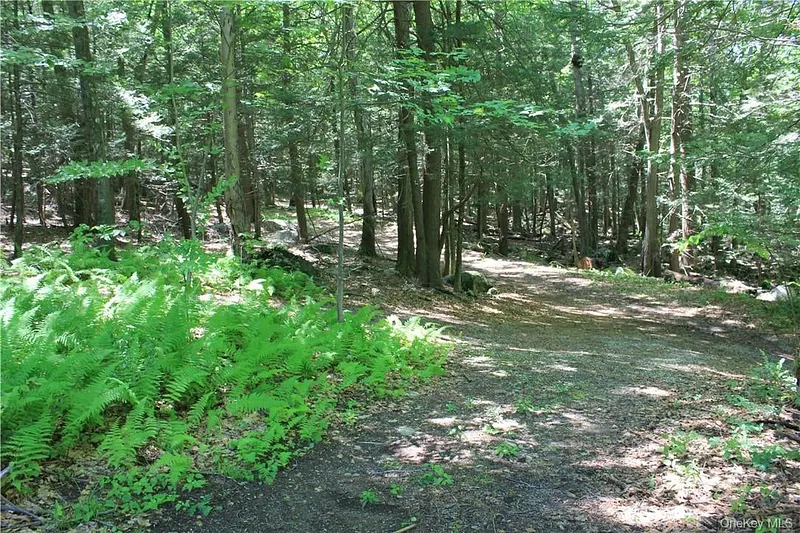 Rolling Meadow Lane Photo 4
