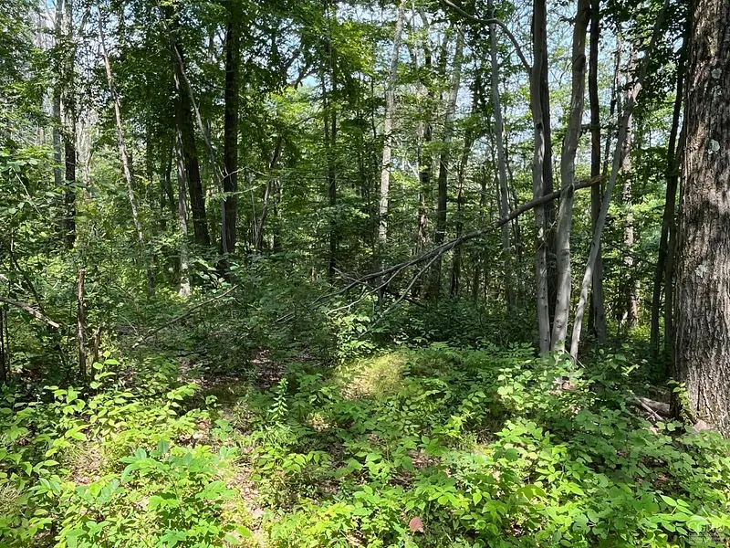 0 Cascade Mt Perrys Corners Road Photo 23