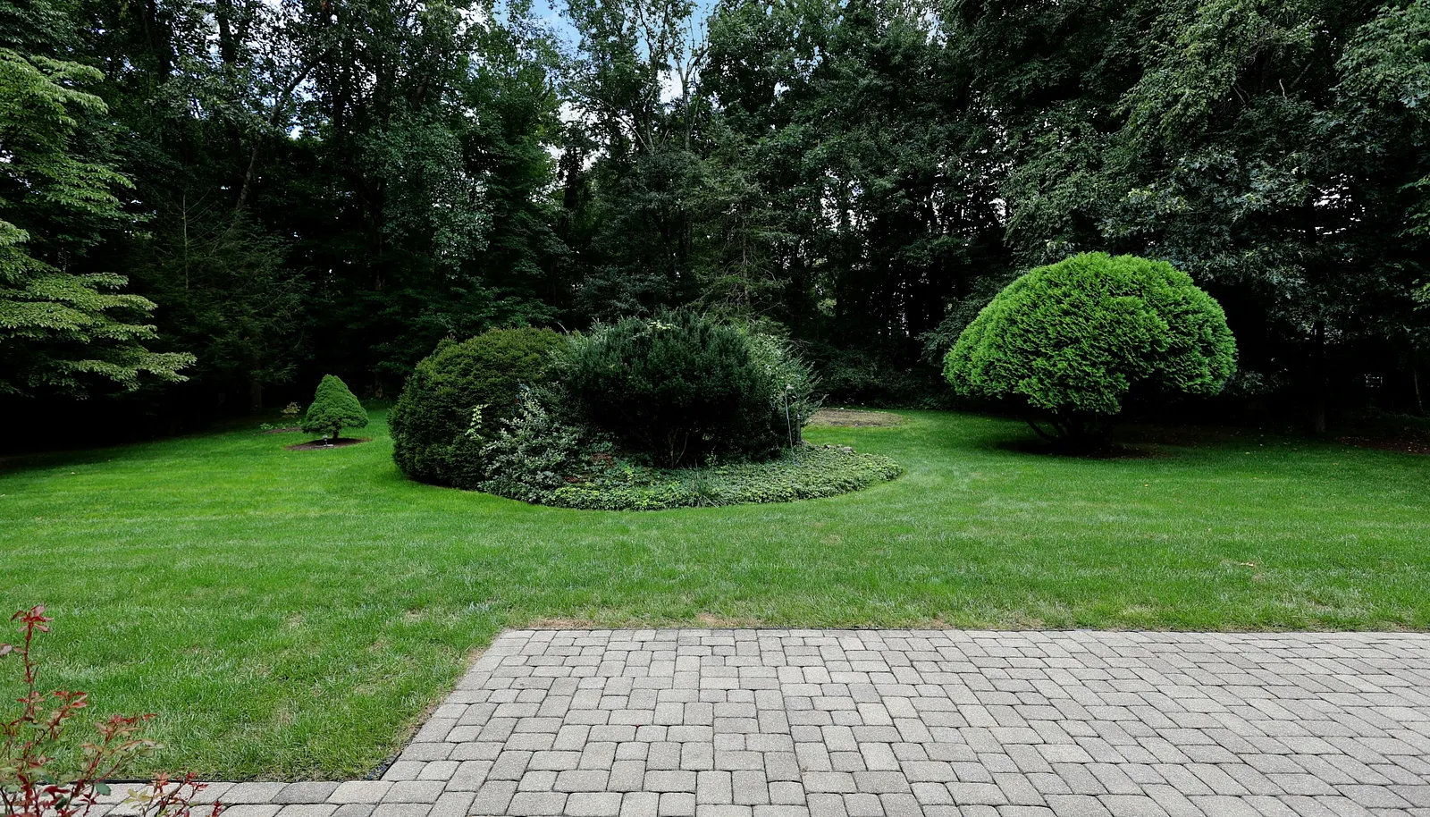 Image 30