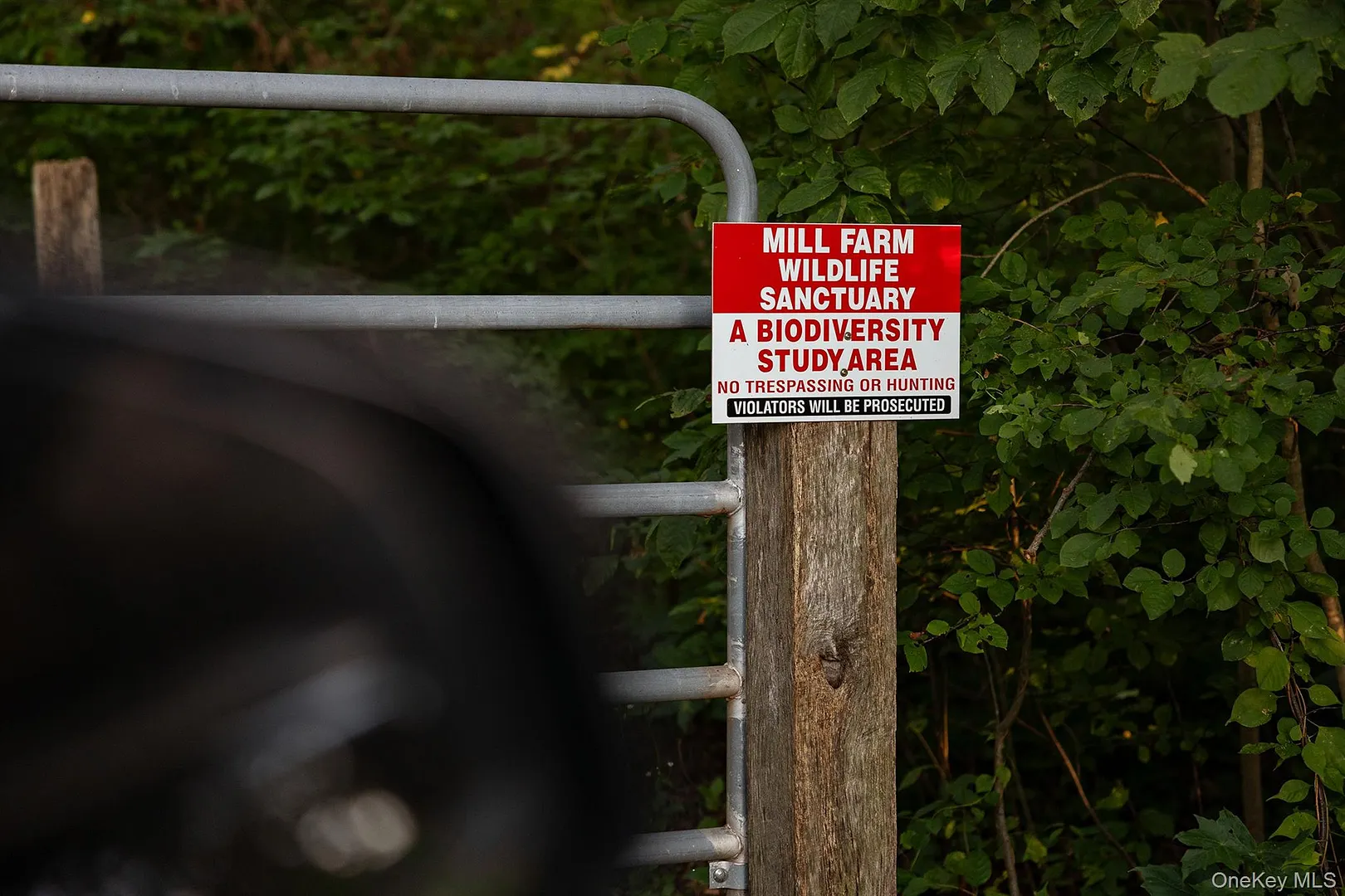 281 County Route 3 Photo 39