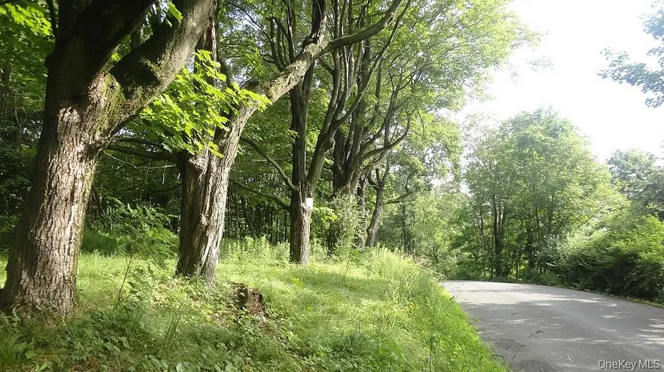 Henry Road Photo 1