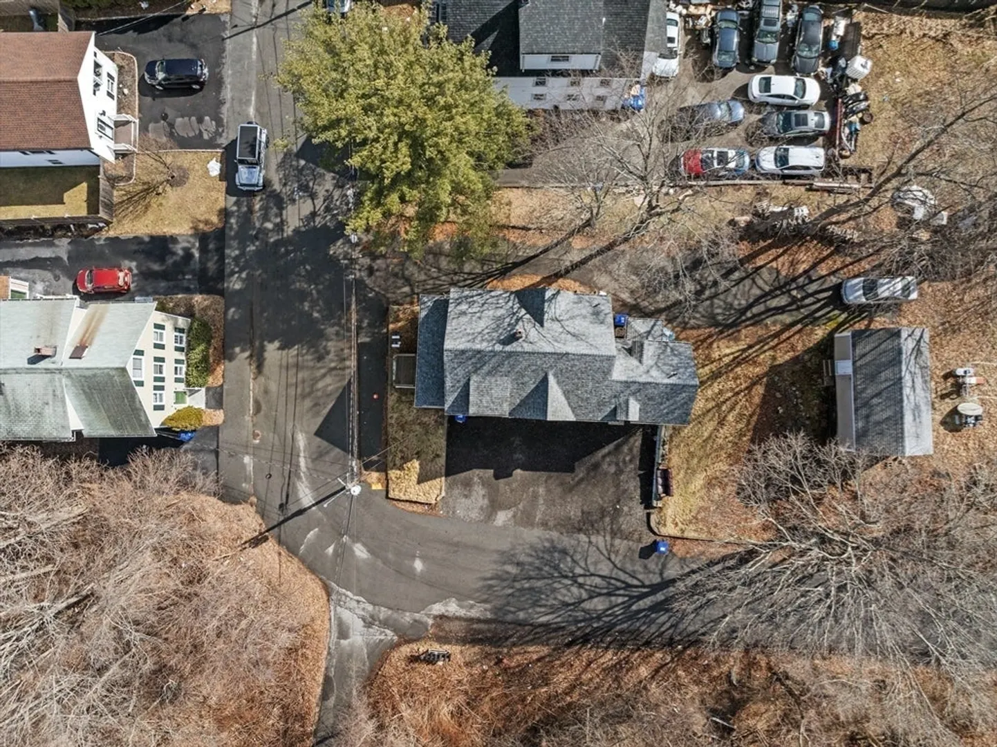 42 Godfrey St Photo 9