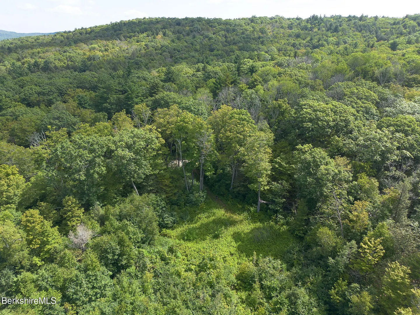 0 Mount Hunger Rd Photo 7