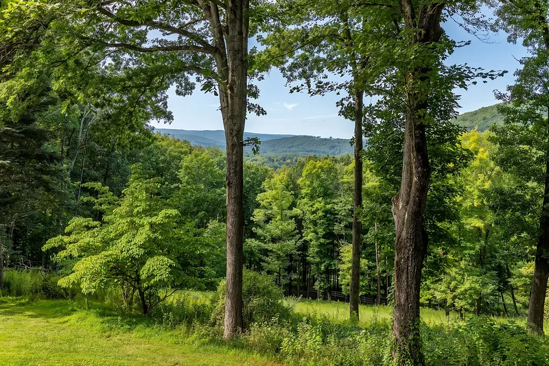 81-b Geer Mountain Road Photo 3