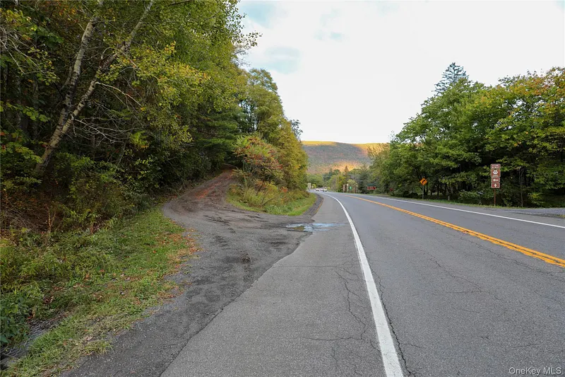 Tbd Ny-28 Route Photo 3