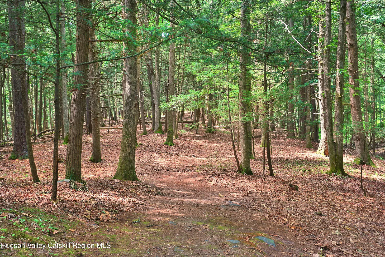104 Dewitt Mills Road Photo 18
