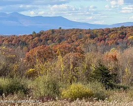 0 Woodward Hill, Hicks Hill, Roads