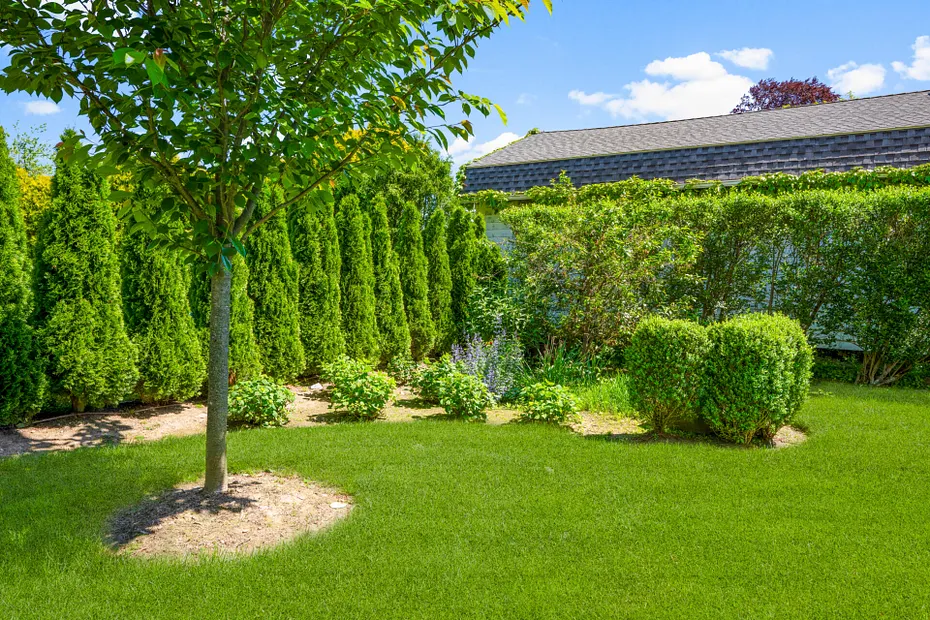 6 Linden Avenue Photo 40