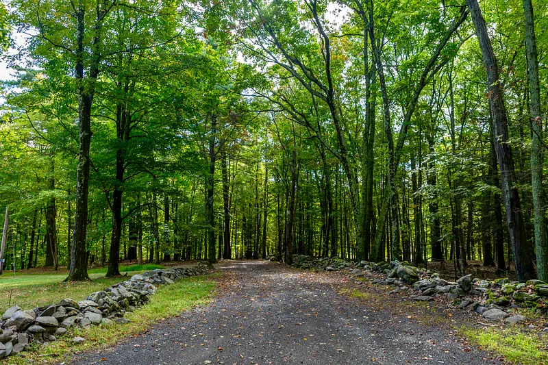 39 Hornbeck Lane Photo 21