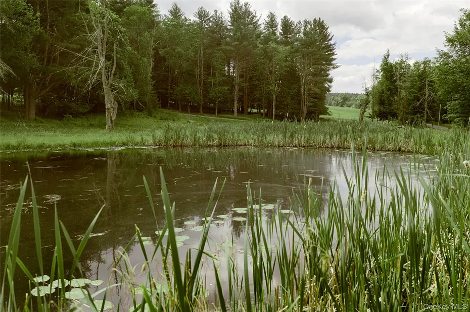 596 Perry Road Photo 8