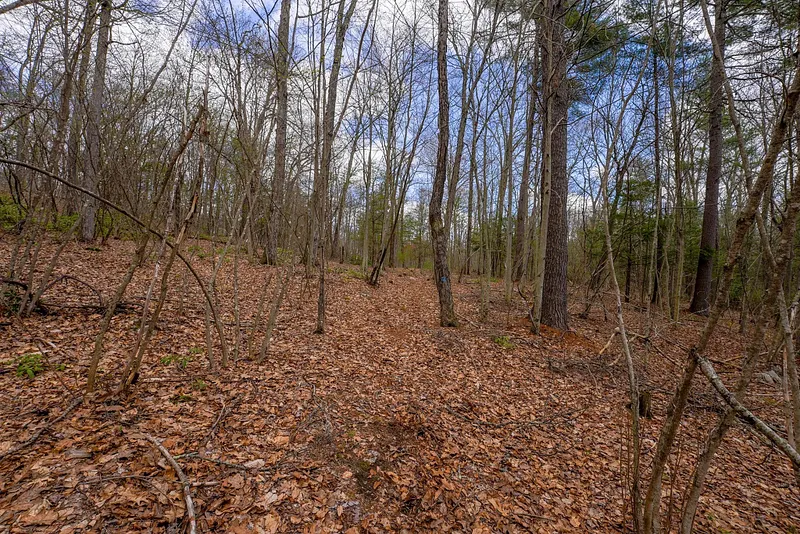 291 Fomer Road Photo 35