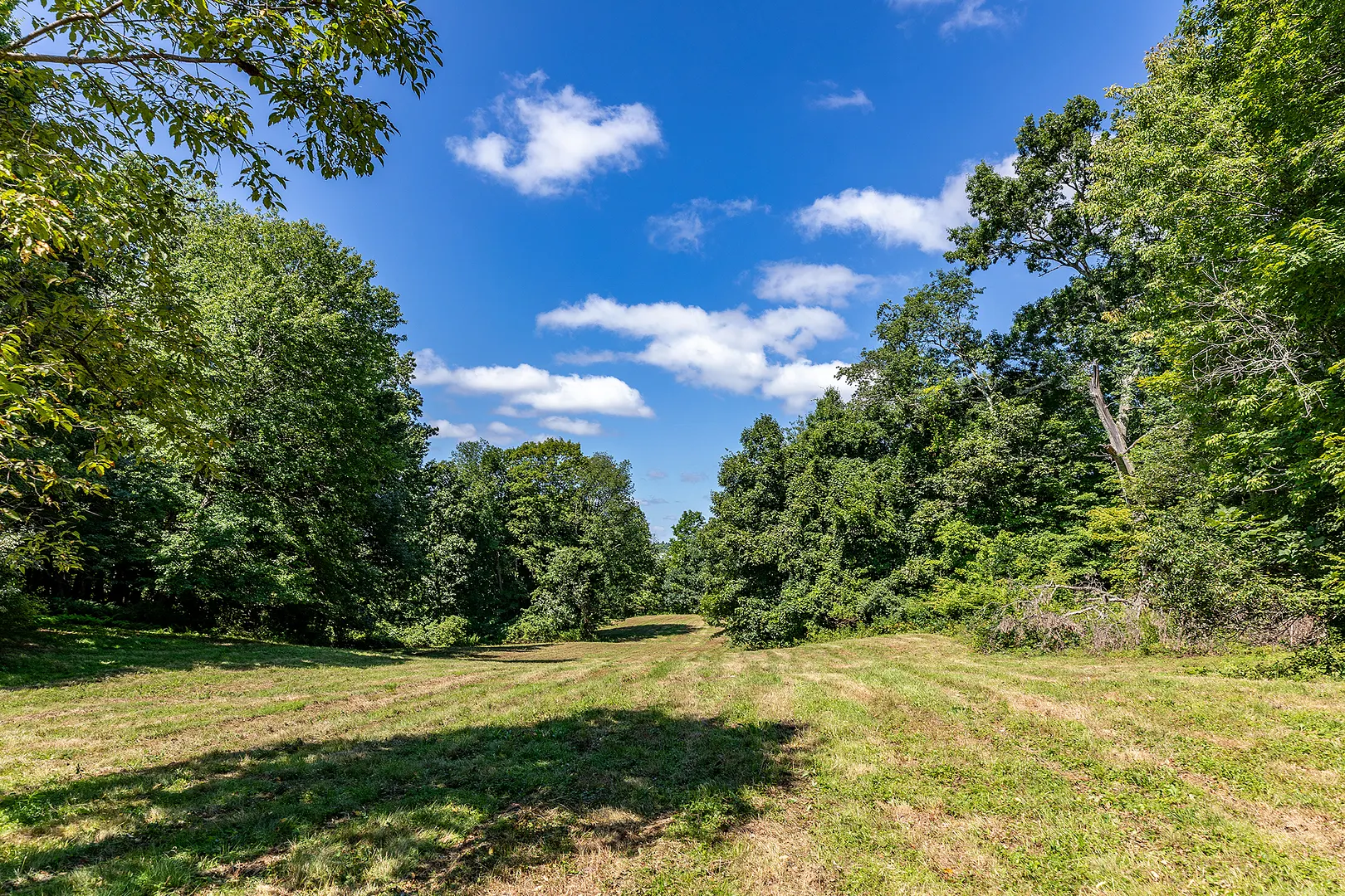 631 South Plains Road Photo 8