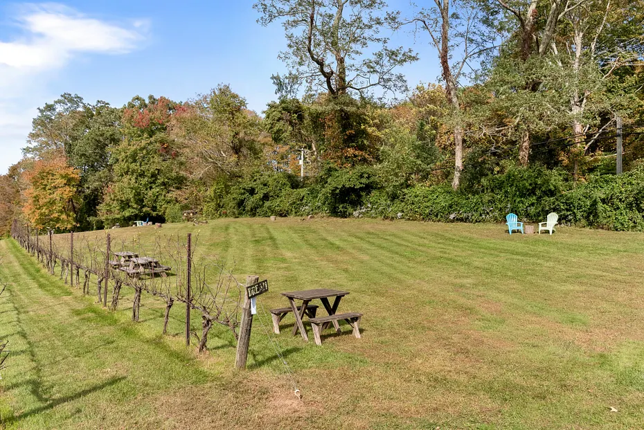 5 Elys Ferry Road Photo 6