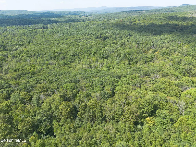 0 Mount Hunger Rd Photo 13